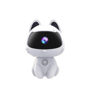 Motion Detection Pet Camera